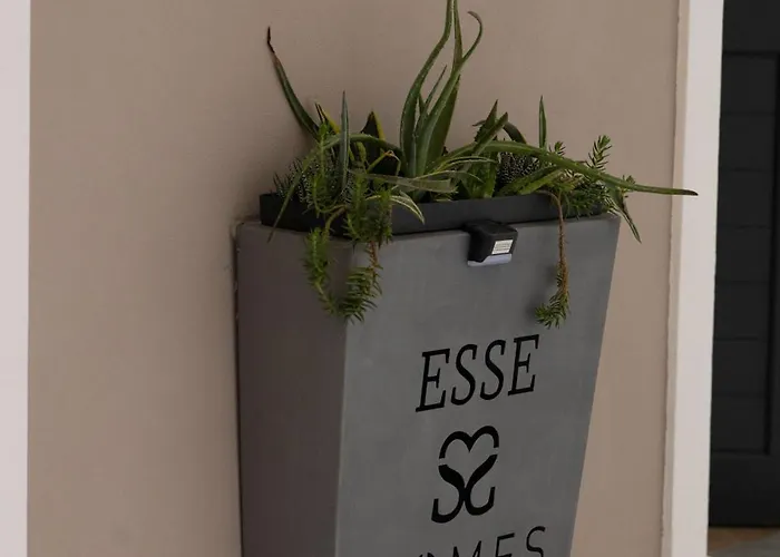 Esse Homes Sant Elia